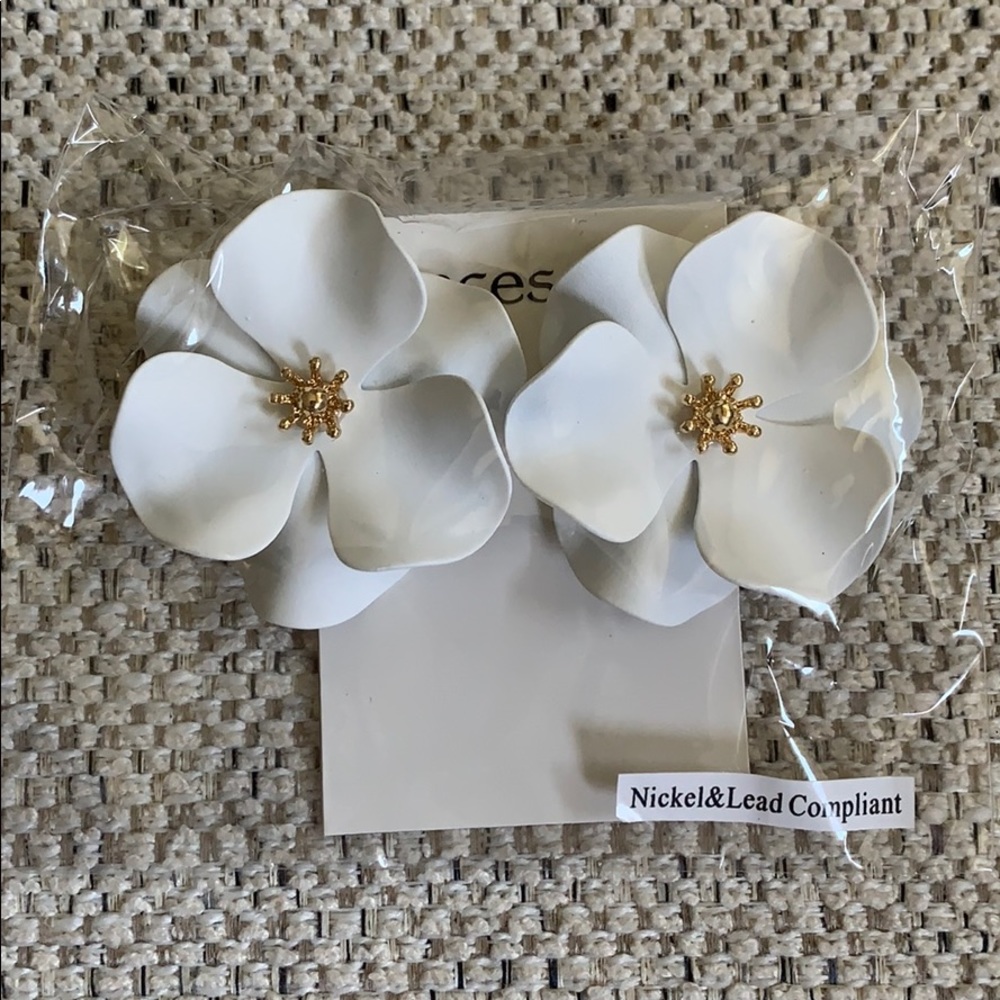 Never worn! Francesca’s earrings